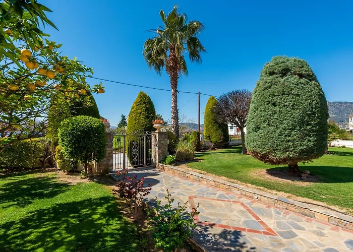 Apartment Christina's Twin Palm Trees House