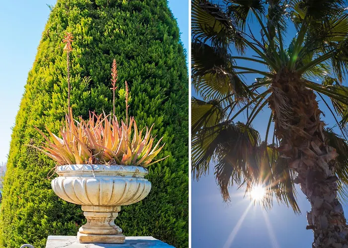 Christina's Twin Palm Trees House Apartment Agria