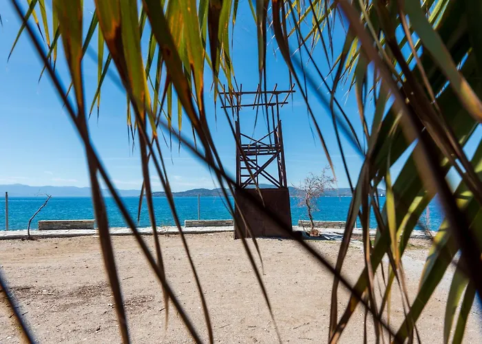 Apartment Christina's Twin Palm Trees House