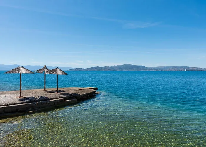 Christina's Twin Palm Trees House