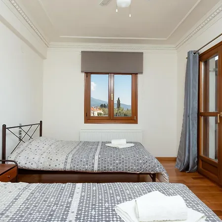 Christina's Twin Palm Trees House