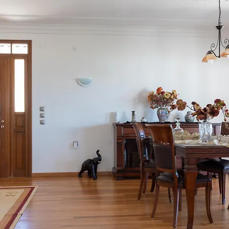 Christina's Twin Palm Trees House Apartment Agria