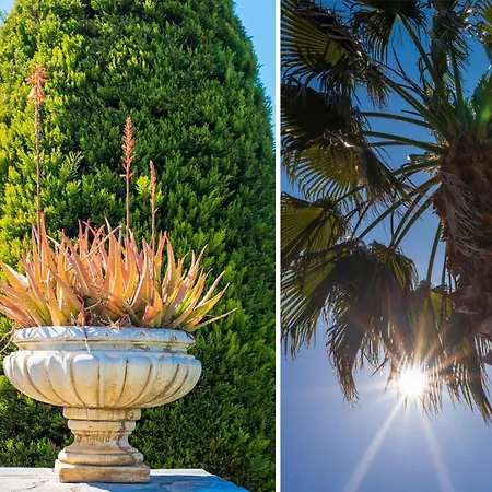 Christina's Twin Palm Trees House Lejlighed Agria