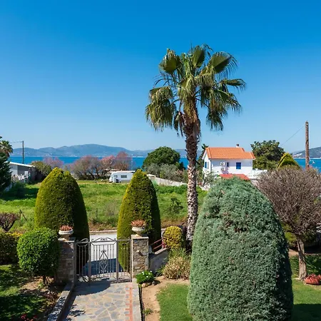 Christina's Twin Palm Trees House