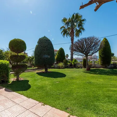 Christina's Twin Palm Trees House *