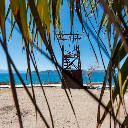 Apartment Christina's Twin Palm Trees House