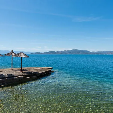 Christina's Twin Palm Trees House